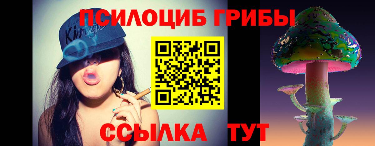 Галлюциногенные грибы Psilocybine cubensis Тула